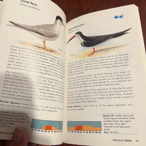Birds Of Los Angeles Including Santa Barbara, Ventura & Orange Counties book - Picture 2 of 6
